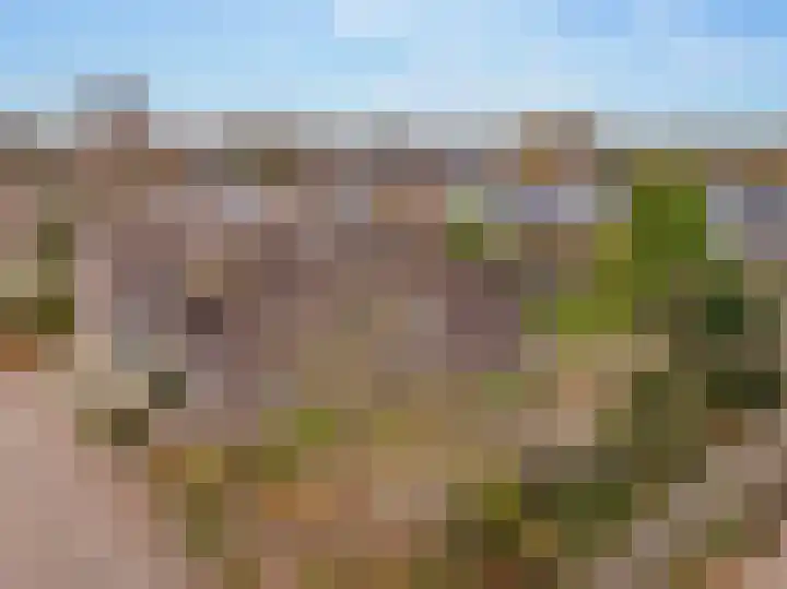 Molenstraat 19 de Wijk thumbnail 6