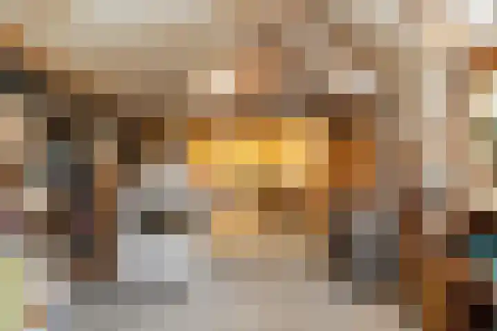 Molenstraat 19 de Wijk thumbnail 60