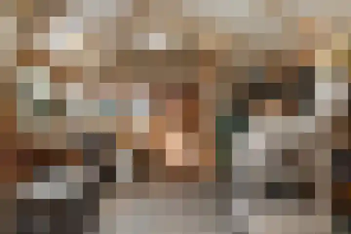 Molenstraat 19 de Wijk thumbnail 61
