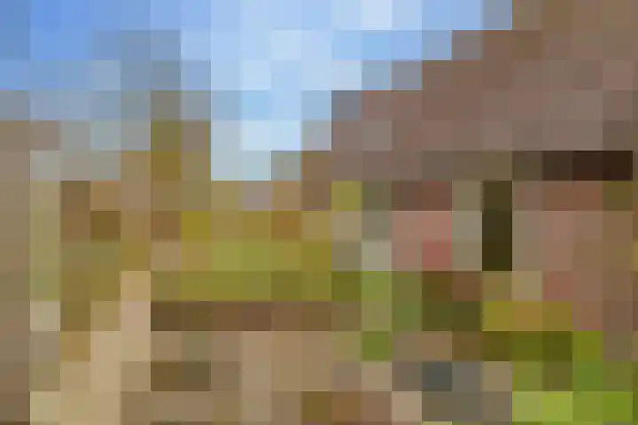 Molenstraat 19 de Wijk thumbnail 63