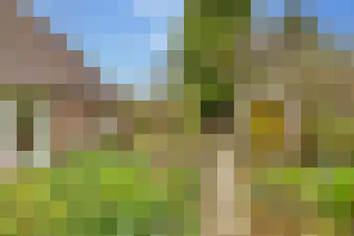 Molenstraat 19 de Wijk thumbnail 64