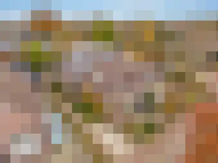 Molenstraat 19 de Wijk thumbnail 67