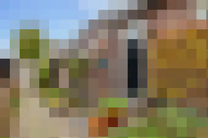 Molenstraat 19 de Wijk thumbnail 8