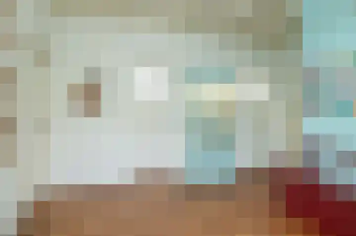 Molenstraat 19 de Wijk thumbnail 9