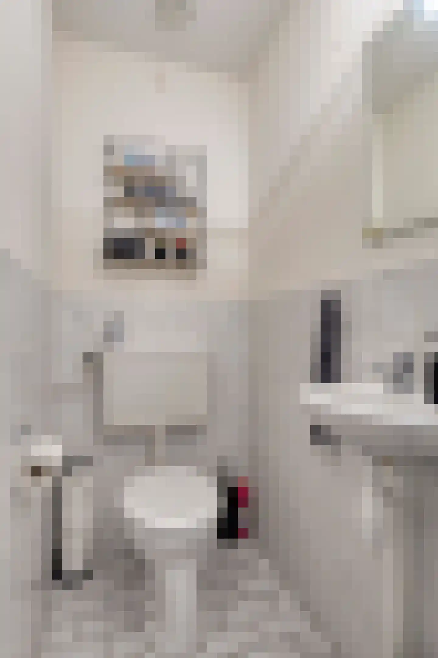 Molenstraat 19 Emmen thumbnail 16