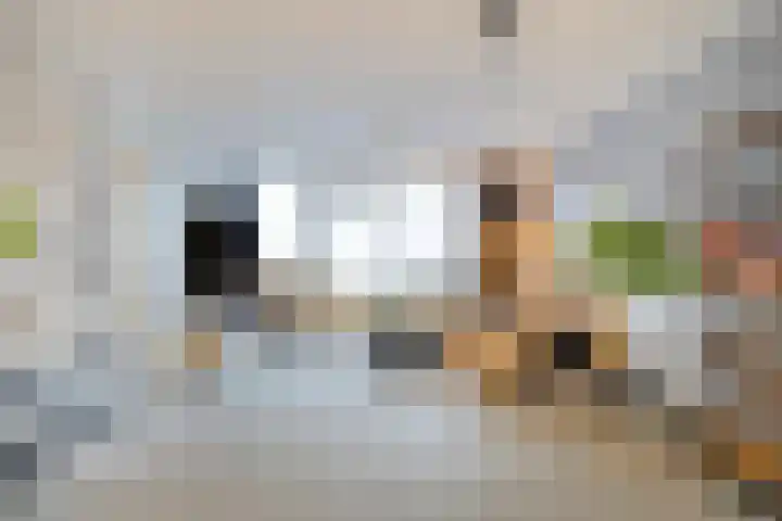 Molenstraat 19 Emmen thumbnail 20