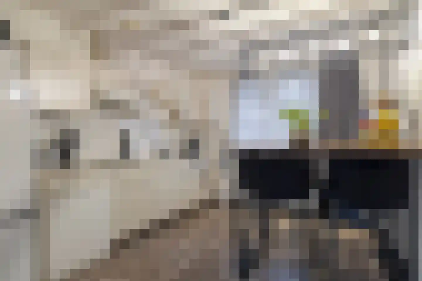 Molenstraat 19 Emmen thumbnail 4