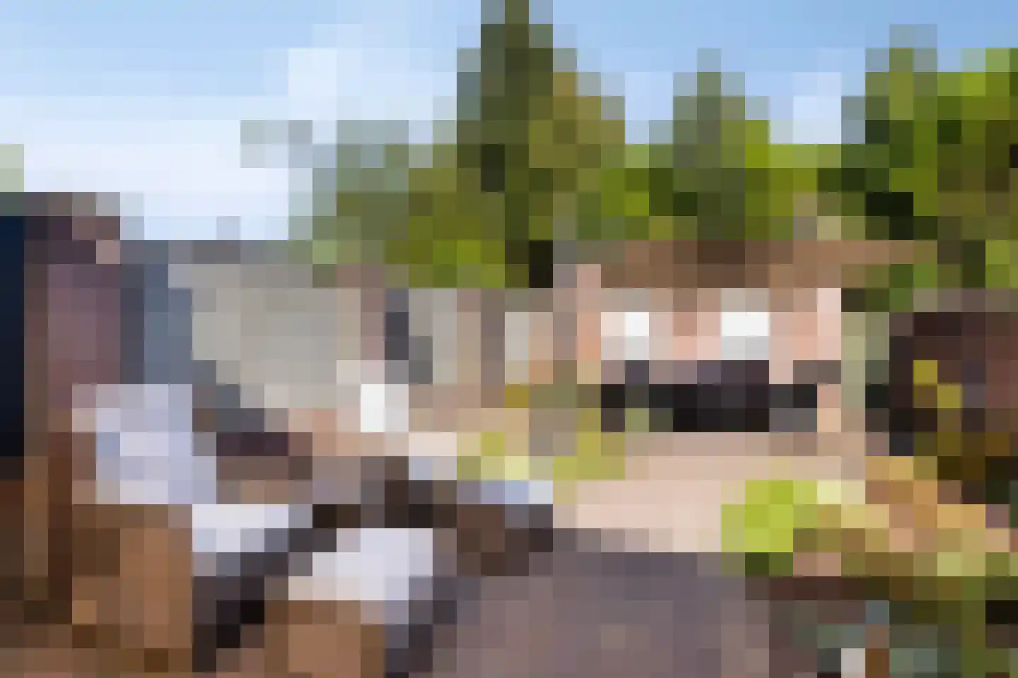 Molenstraat 19 Valkenswaard thumbnail 30