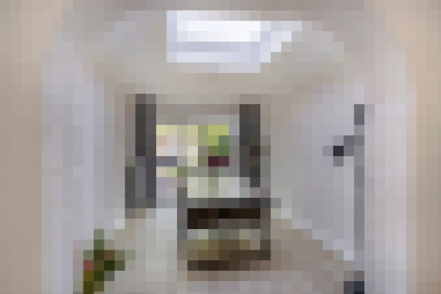 Molenstraat 19 Valkenswaard thumbnail 7