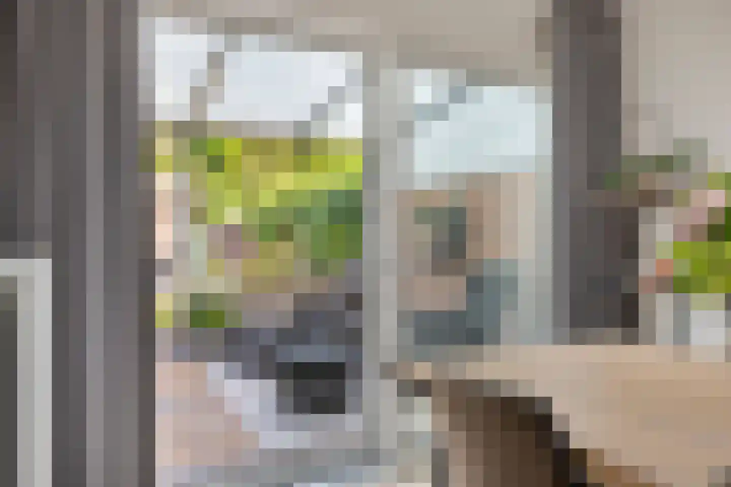 Molenstraat 19 Valkenswaard thumbnail 8