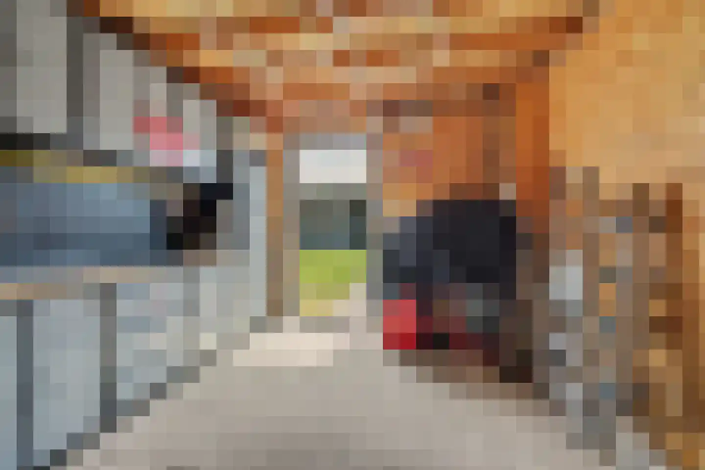 Molenstraat 2 a Ossendrecht thumbnail 28