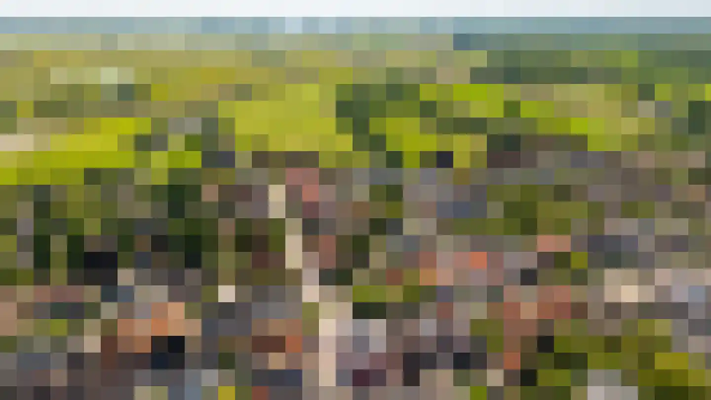 Molenstraat 2 Amerongen thumbnail 24