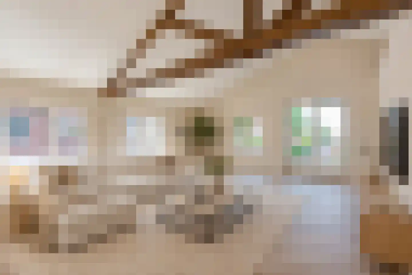 Molenstraat 2 Amerongen thumbnail 4