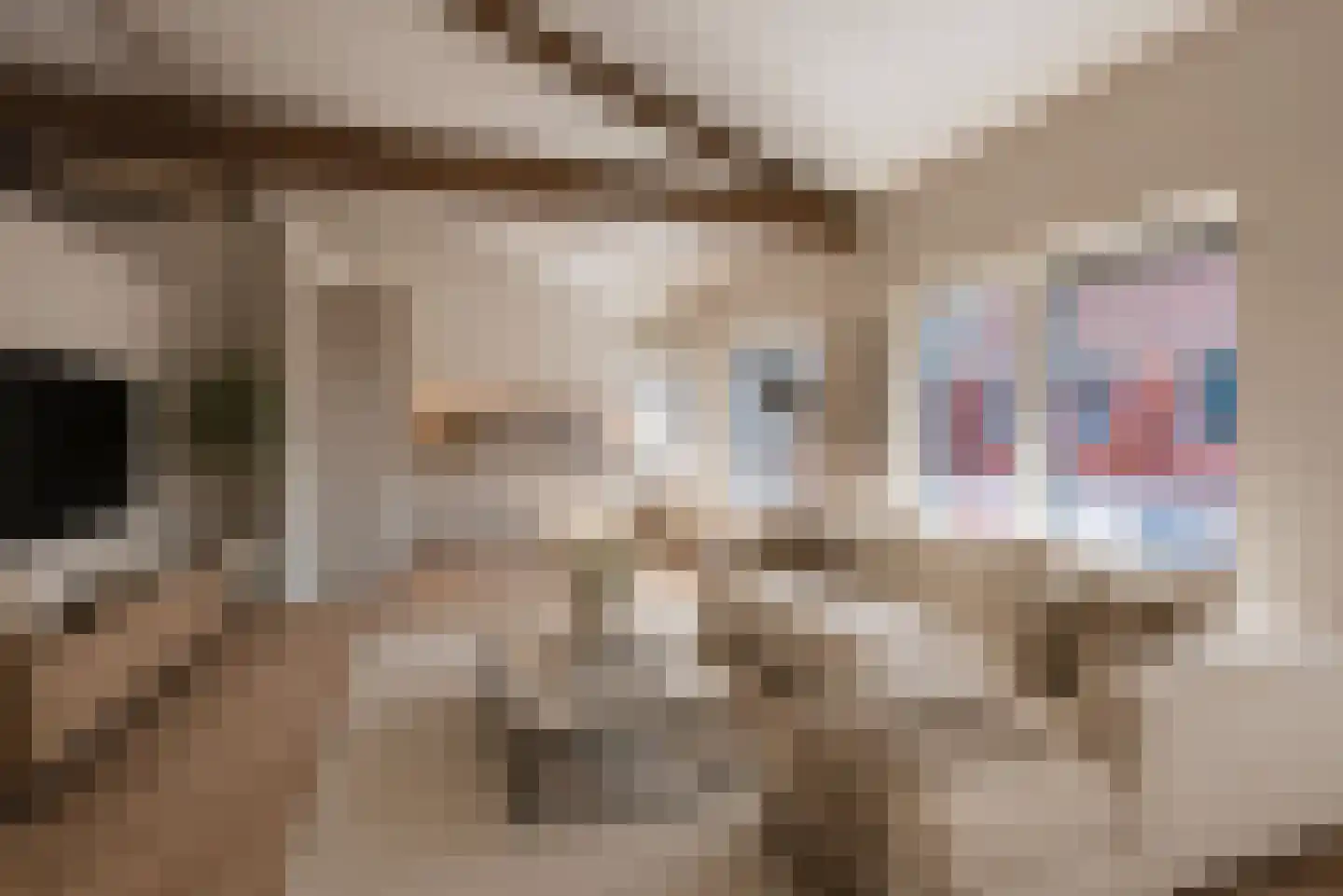 Molenstraat 2 Amerongen thumbnail 5