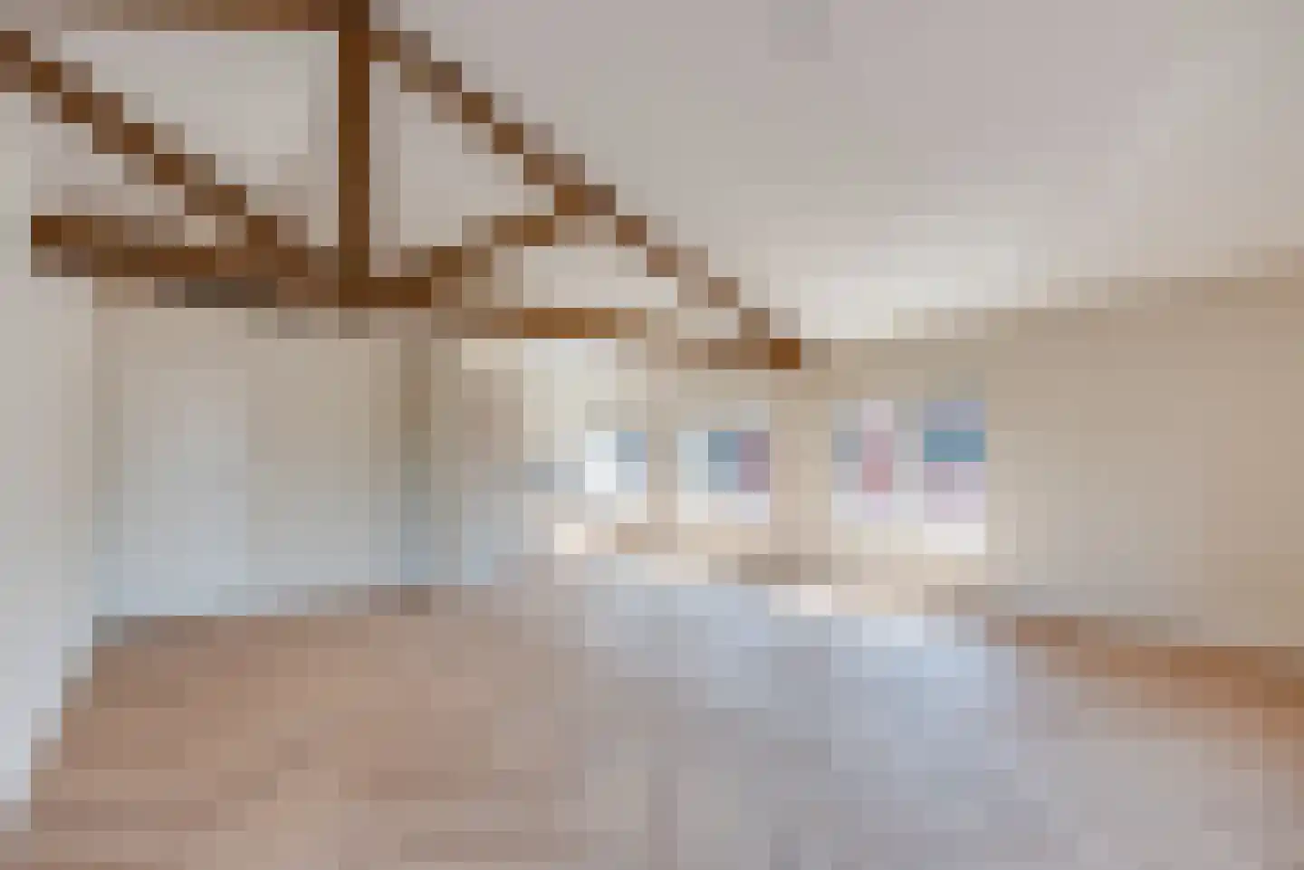 Molenstraat 2 Amerongen thumbnail 7