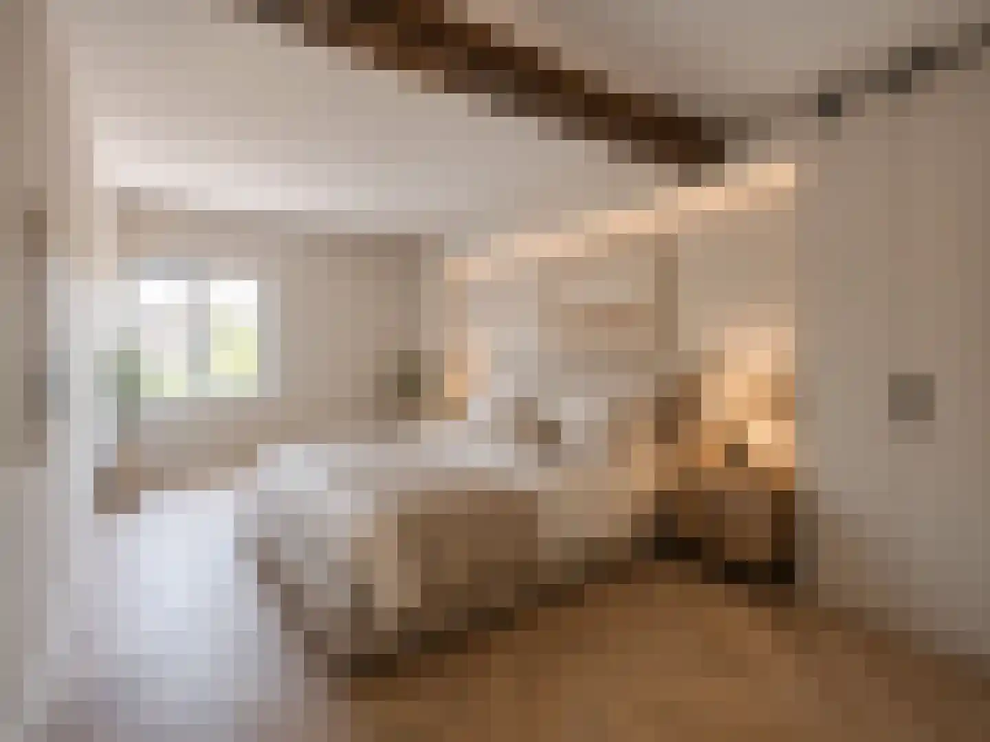 Molenstraat 2 Amerongen thumbnail 8