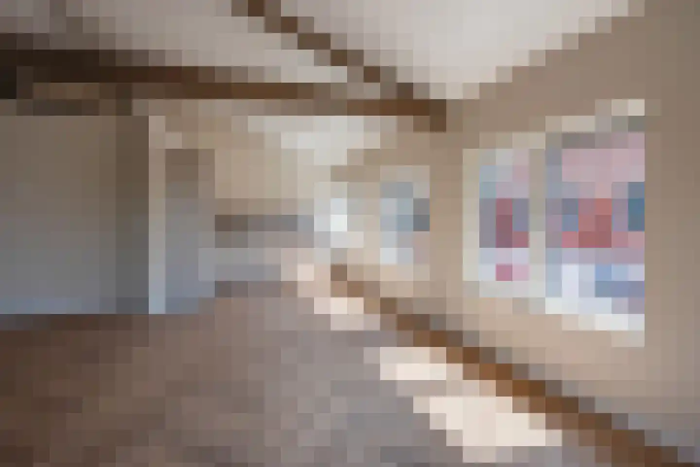 Molenstraat 2 Amerongen thumbnail 9