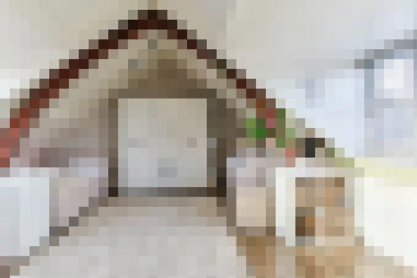 Molenstraat 2 B Zwammerdam thumbnail 45