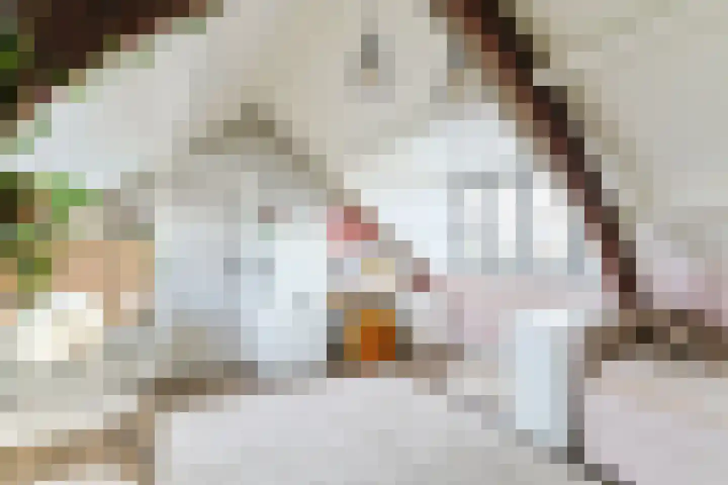 Molenstraat 2 B Zwammerdam thumbnail 48