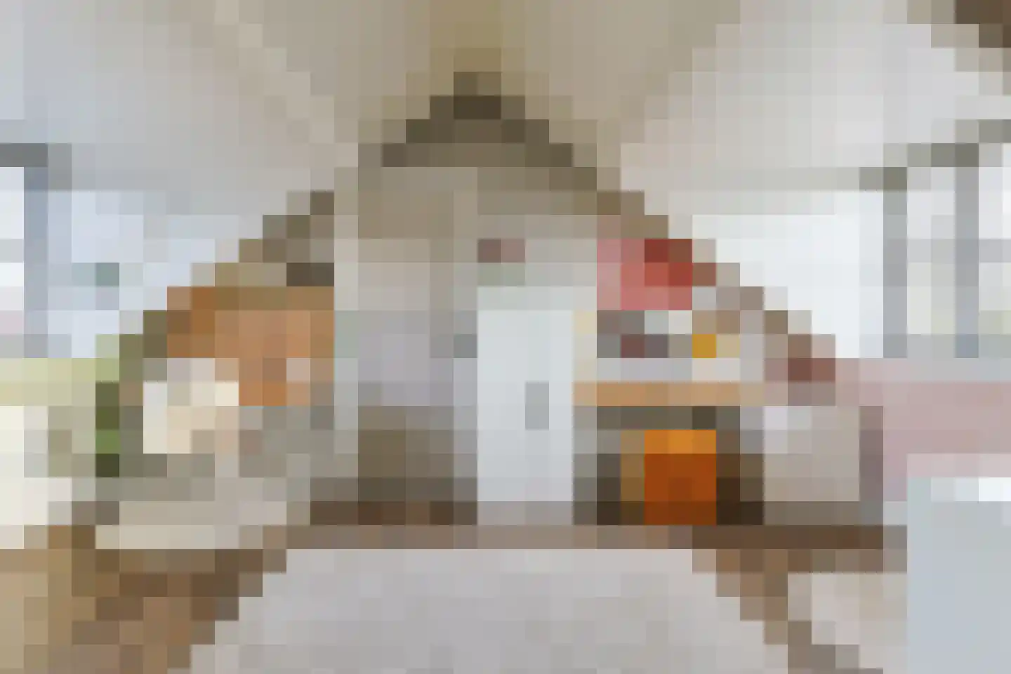 Molenstraat 2 B Zwammerdam thumbnail 49