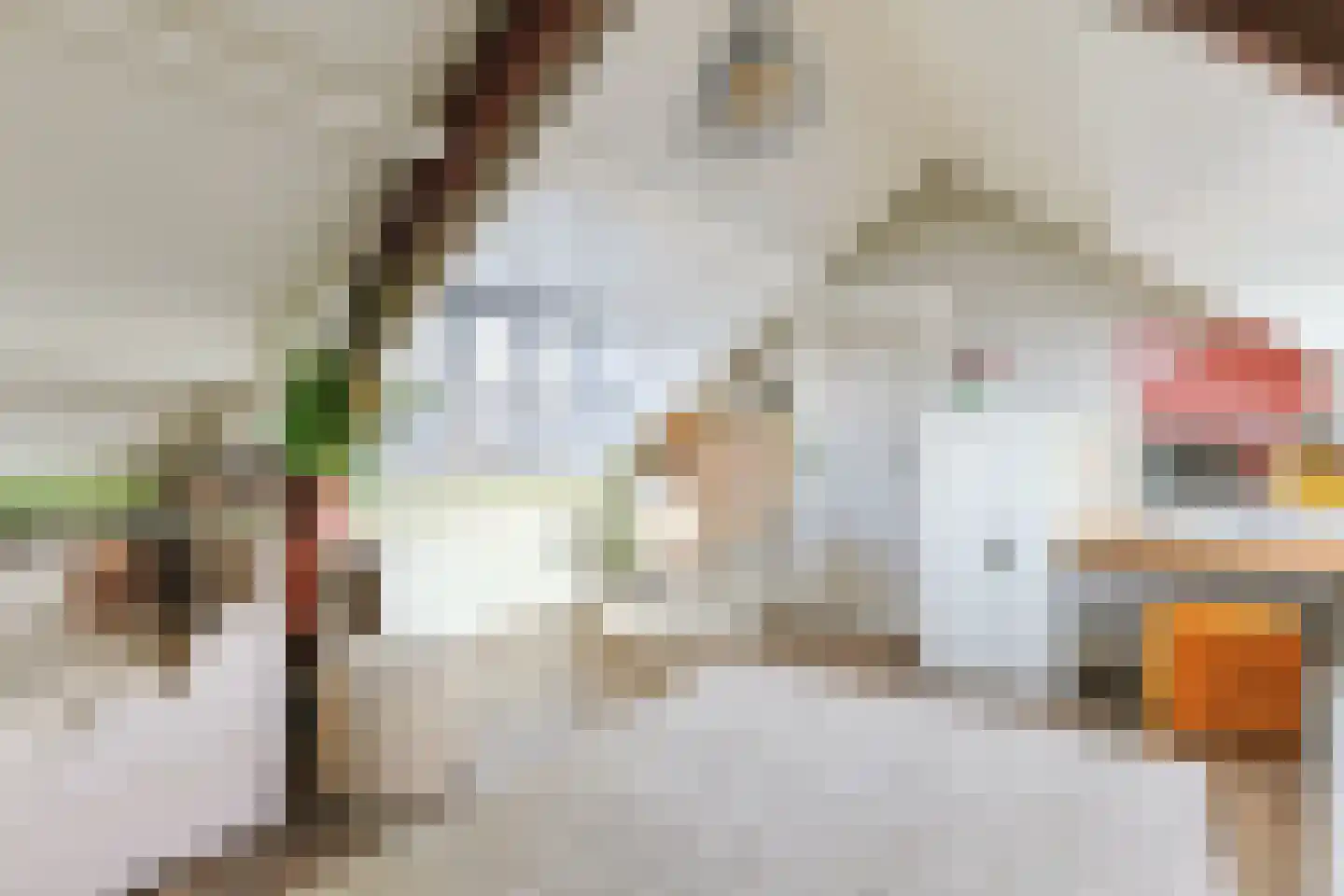 Molenstraat 2 B Zwammerdam thumbnail 50