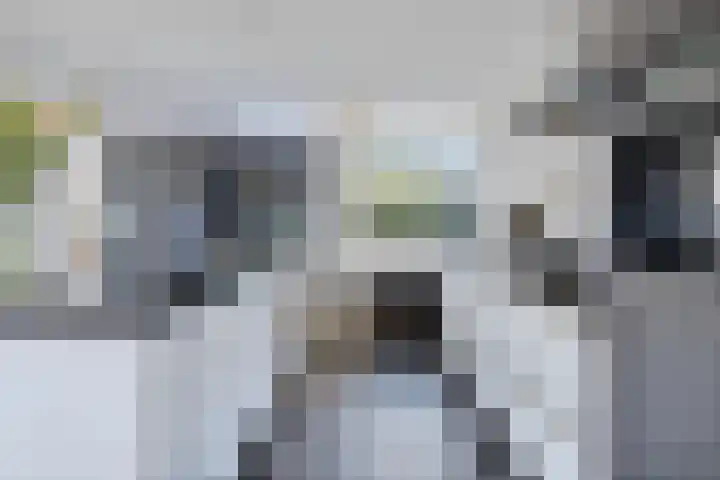 Molenstraat 2 Berlicum thumbnail 15