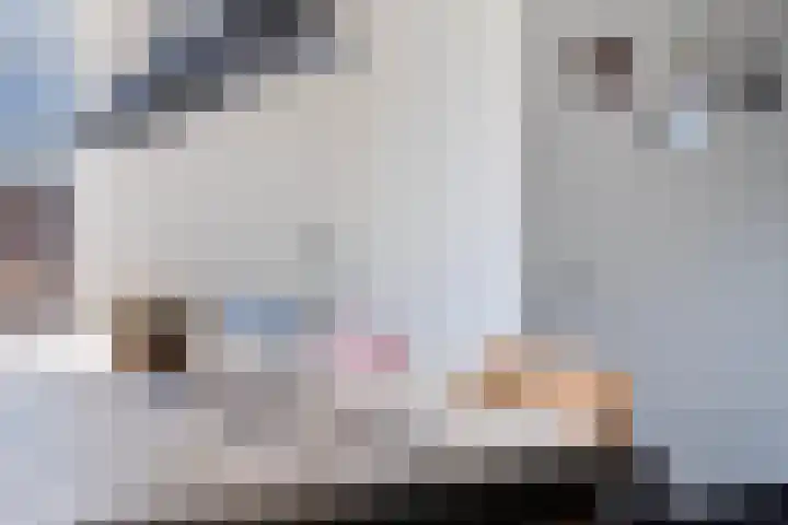Molenstraat 2 Berlicum thumbnail 19
