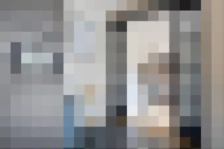 Molenstraat 2 Berlicum thumbnail 21