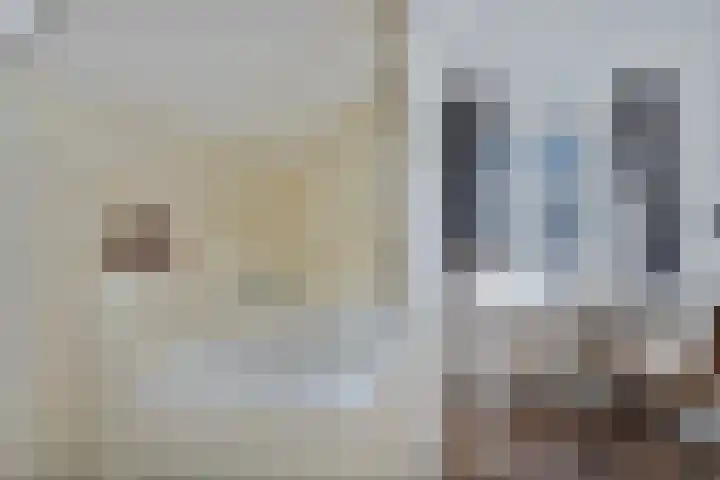 Molenstraat 2 Berlicum thumbnail 36