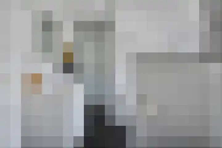 Molenstraat 2 Berlicum thumbnail 37