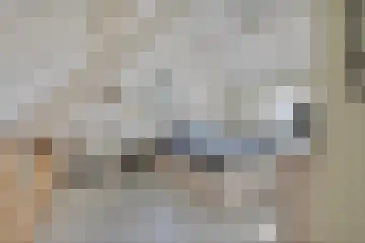 Molenstraat 2 Berlicum thumbnail 39