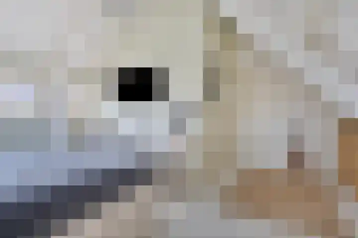 Molenstraat 2 Berlicum thumbnail 40