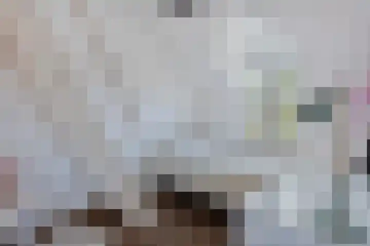 Molenstraat 2 Berlicum thumbnail 41