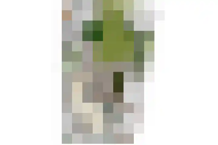 Molenstraat 2 Berlicum thumbnail 55