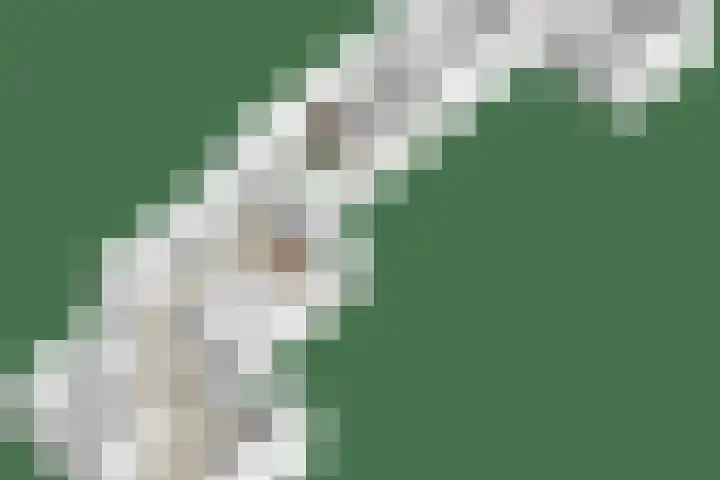 Molenstraat 2 Berlicum thumbnail 62