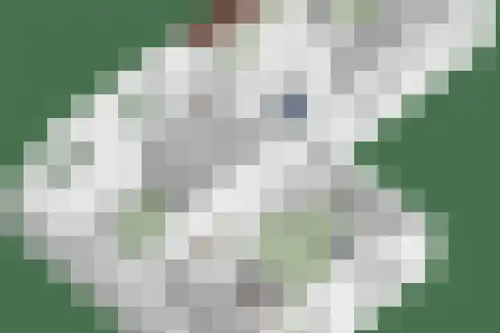 Molenstraat 2 Berlicum thumbnail 63