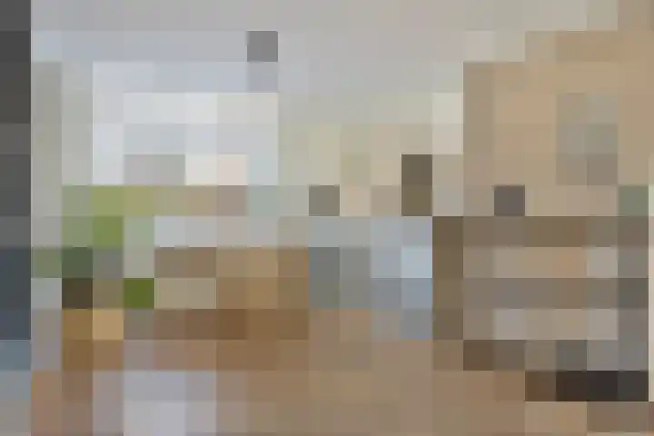 Molenstraat 2 Berlicum thumbnail 8