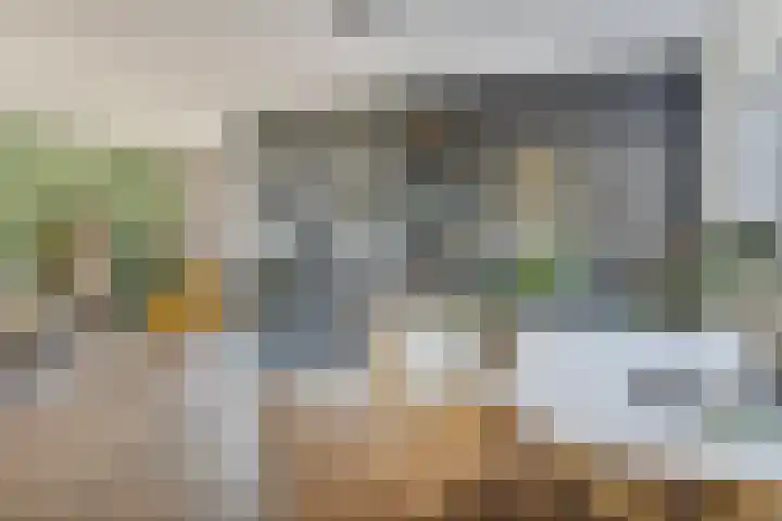 Molenstraat 2 Berlicum thumbnail 9