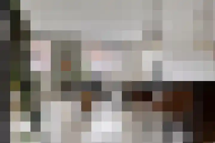 Molenstraat 2 C Veenendaal thumbnail 12