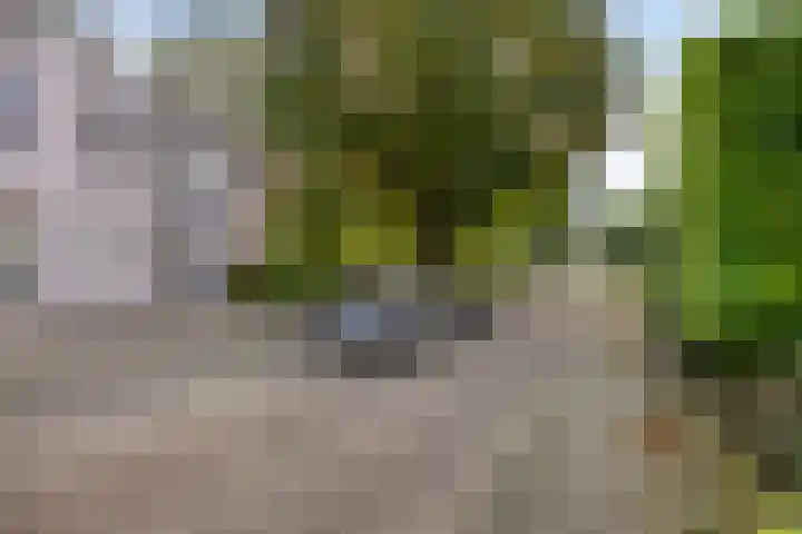 Molenstraat 2 C Veenendaal thumbnail 21