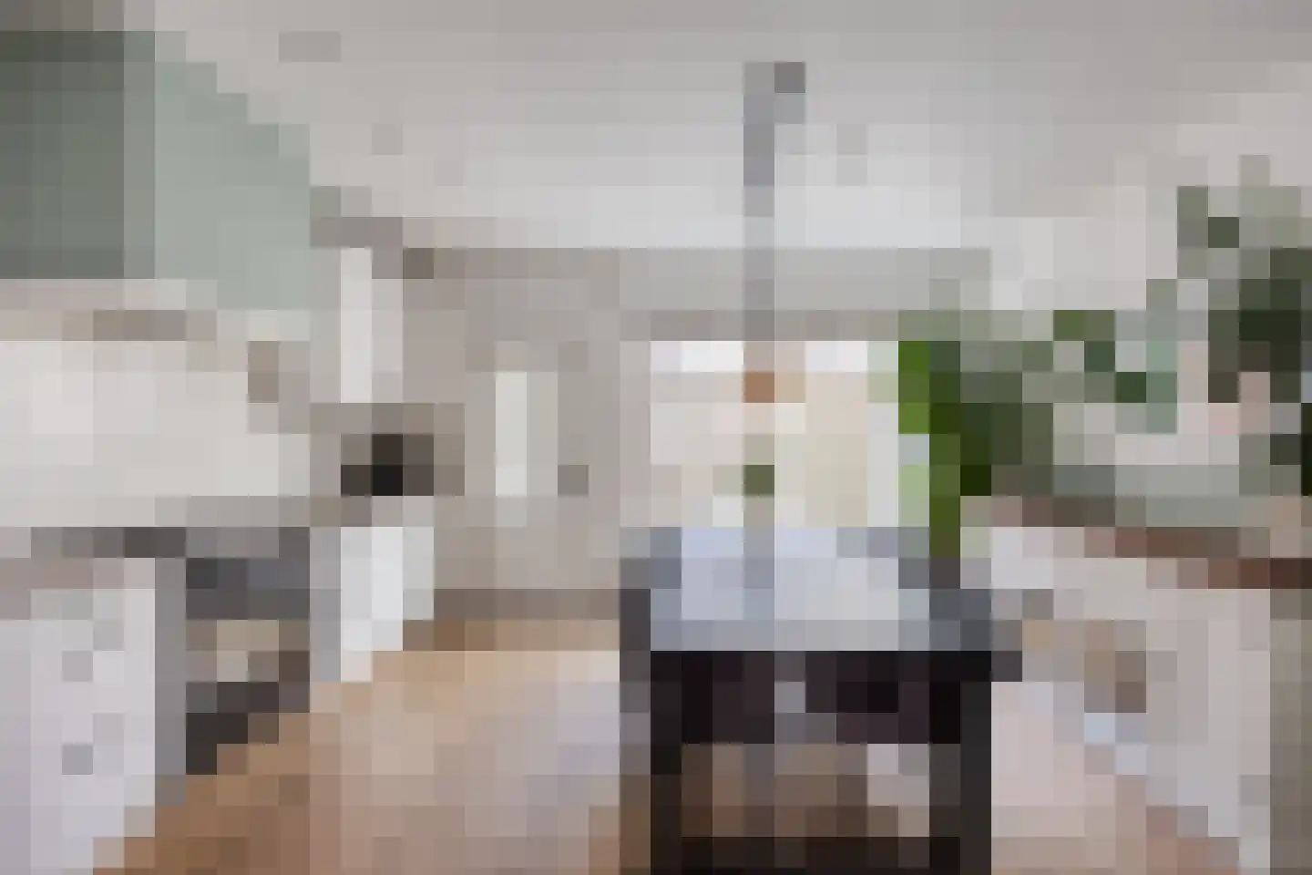 Molenstraat 2 De Lier thumbnail 12