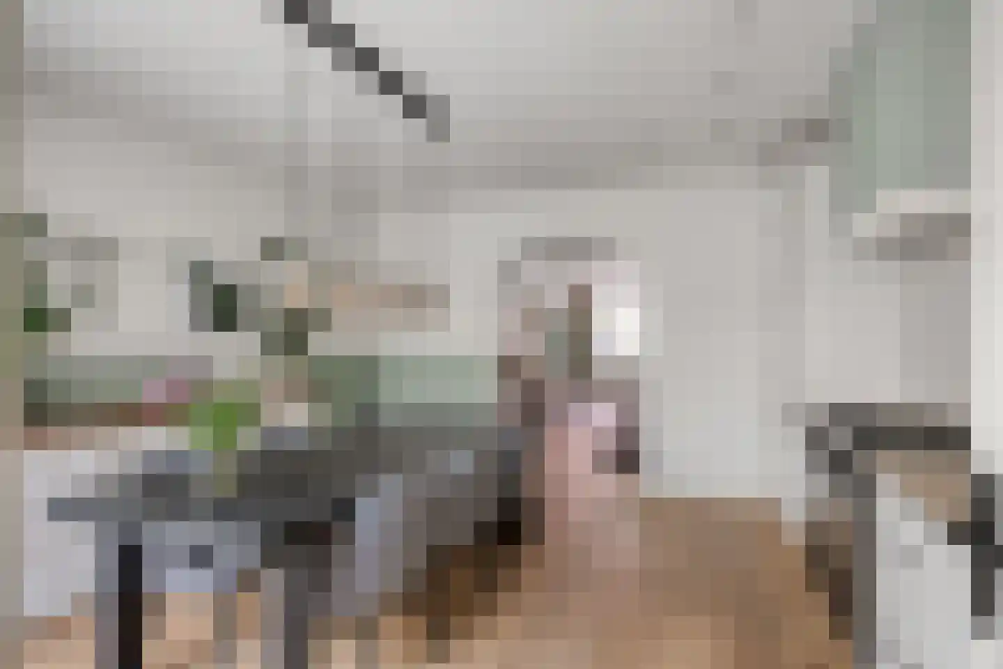 Molenstraat 2 De Lier thumbnail 13