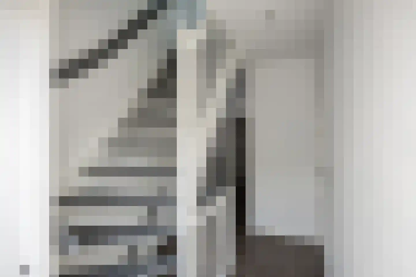 Molenstraat 2 De Lier thumbnail 17