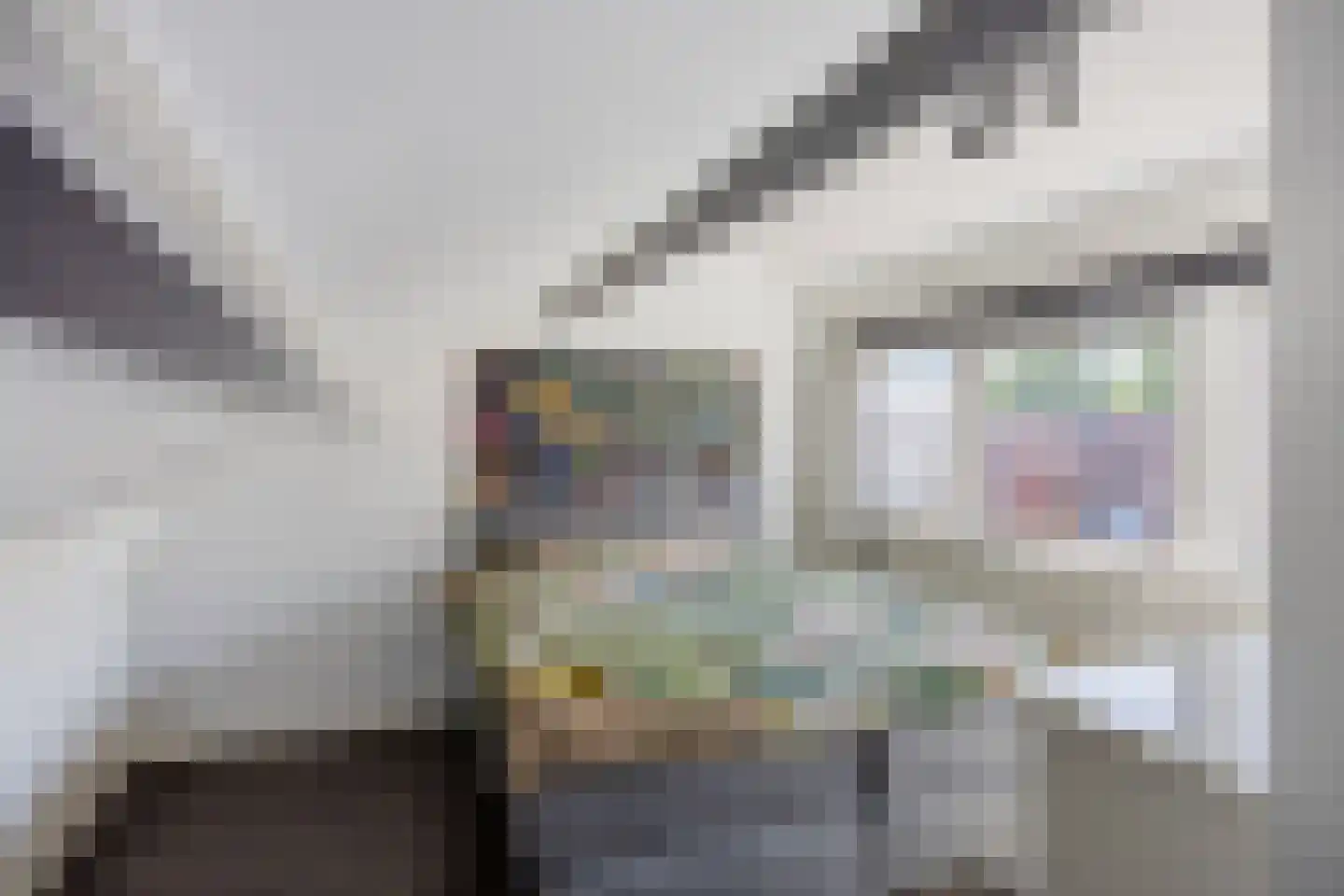 Molenstraat 2 De Lier thumbnail 28