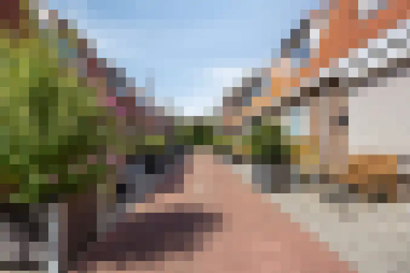 Molenstraat 2 De Lier thumbnail 31