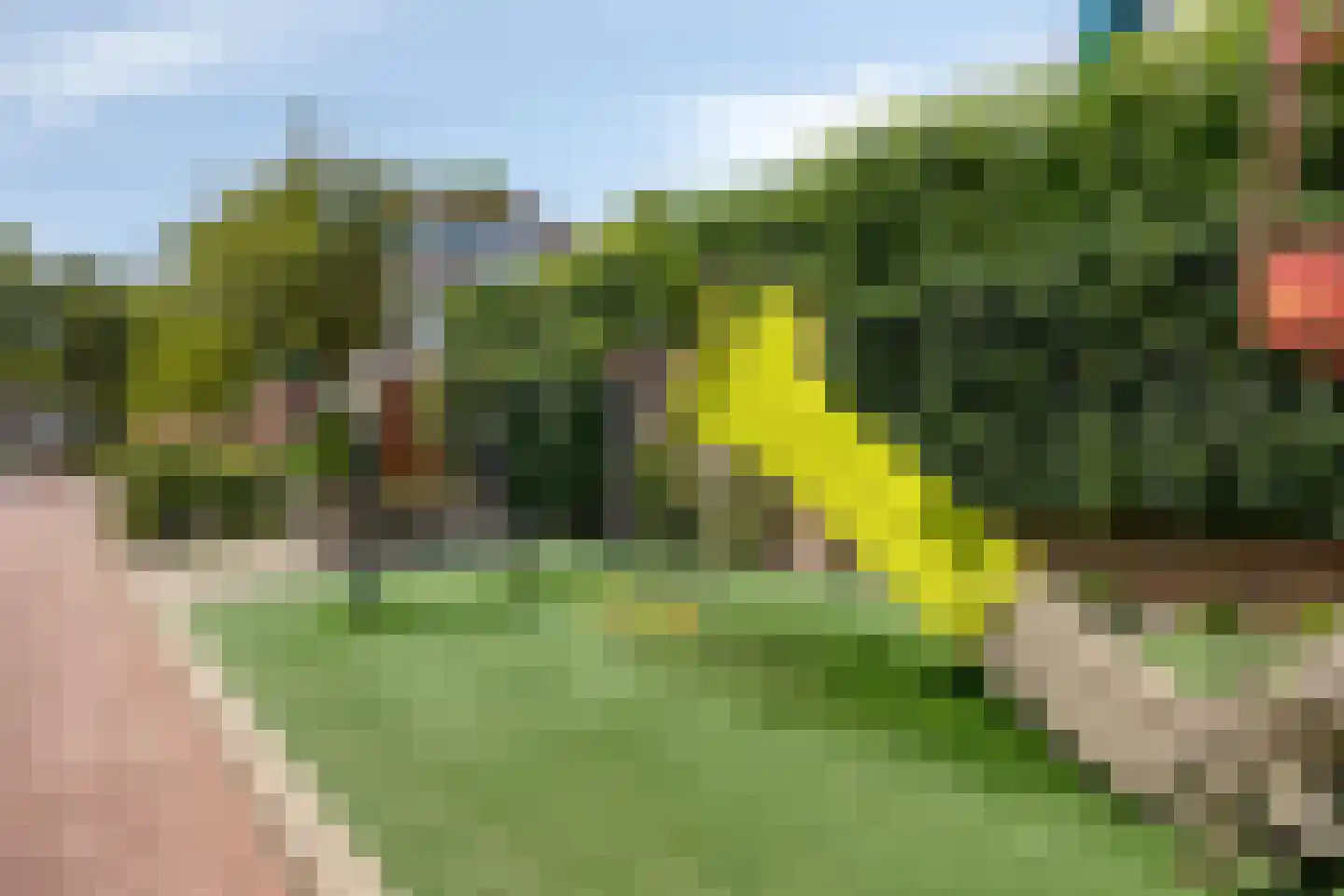 Molenstraat 2 De Lier thumbnail 33