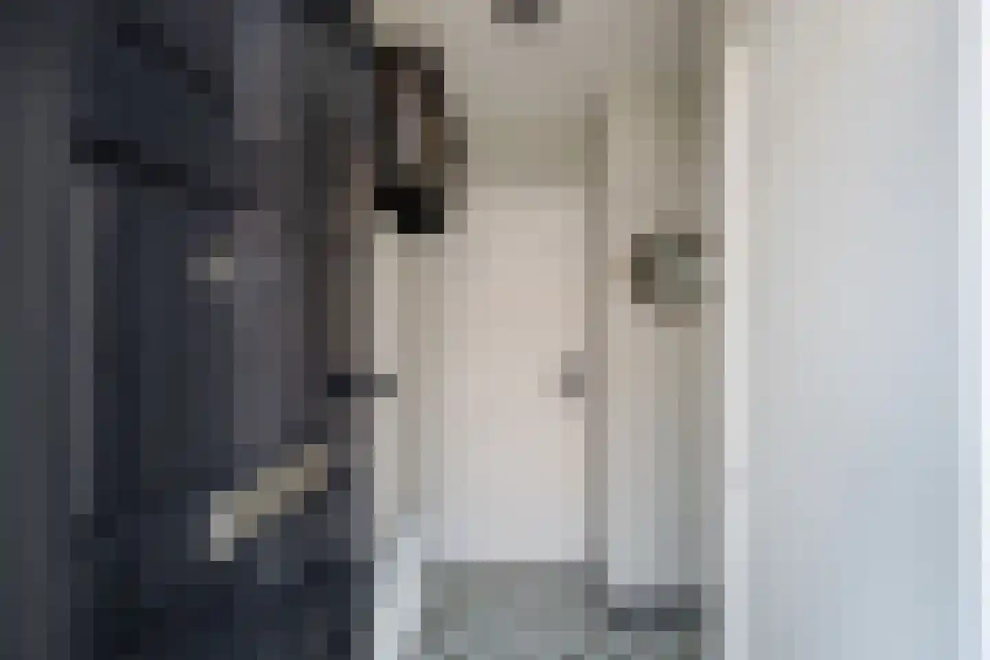 Molenstraat 2 De Lier thumbnail 5