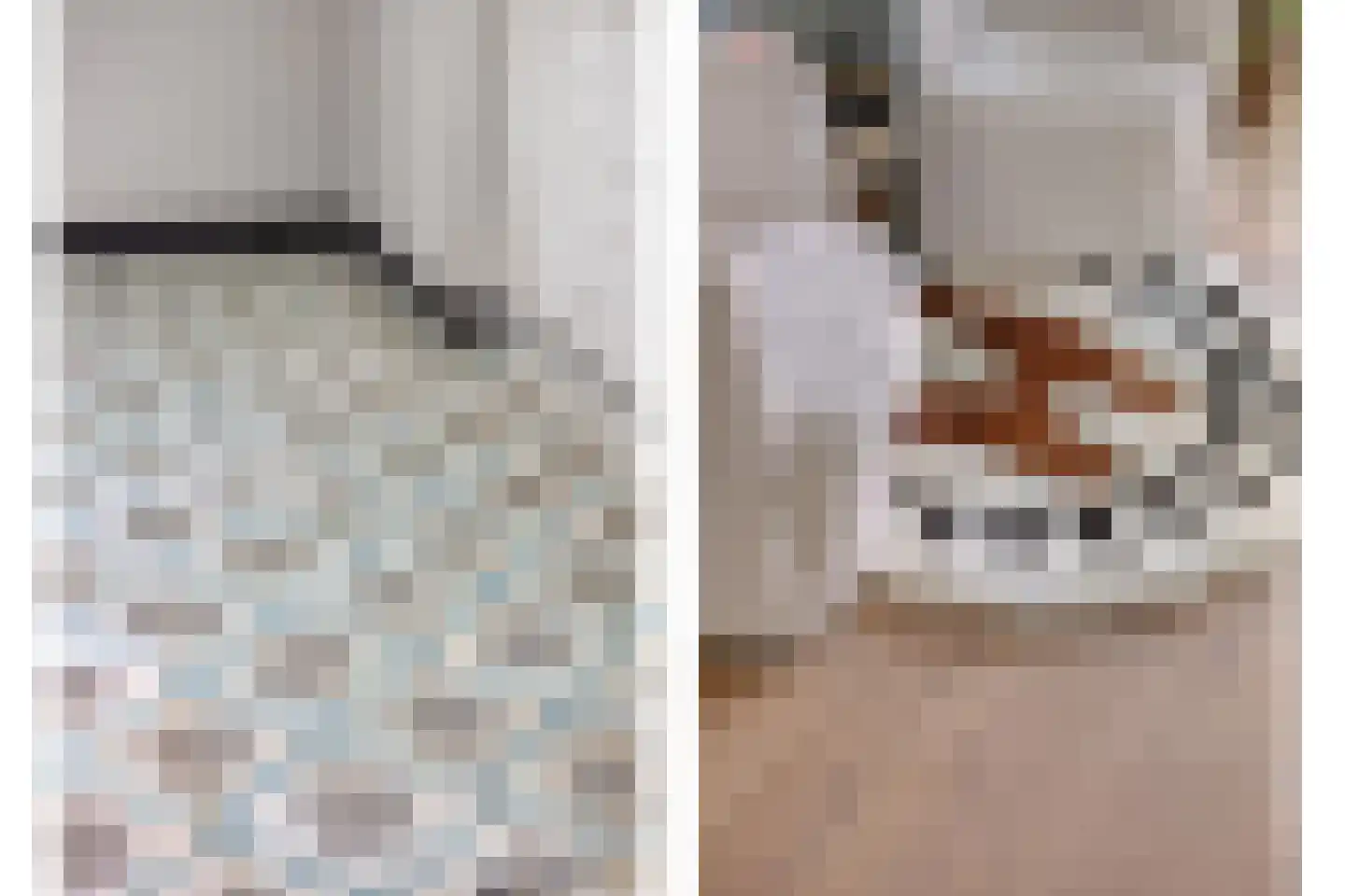 Molenstraat 2 De Lier thumbnail 8