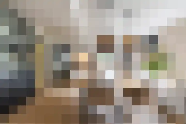 Molenstraat 2 Gasselte thumbnail 19