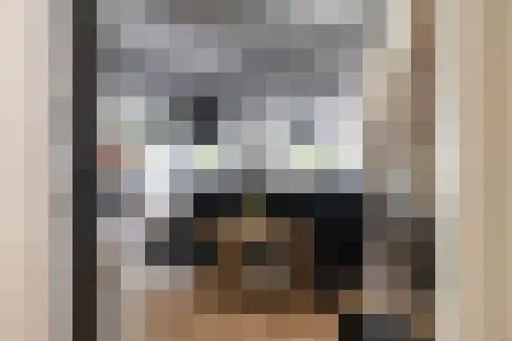 Molenstraat 2 Gasselte thumbnail 24